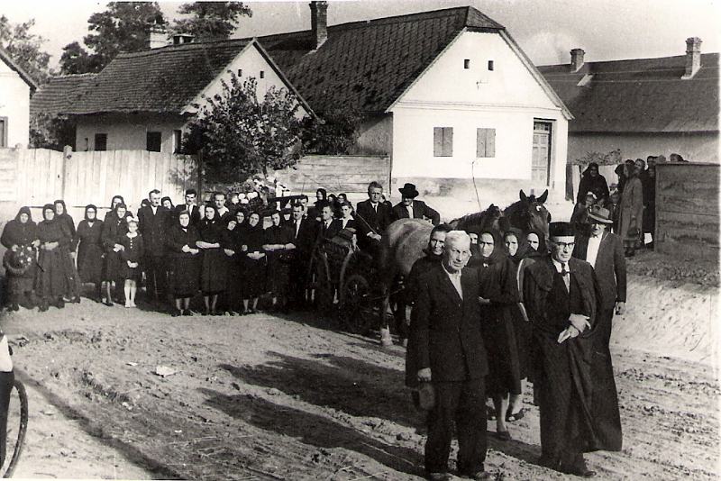 167.jpg