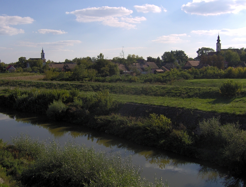 145.JPG