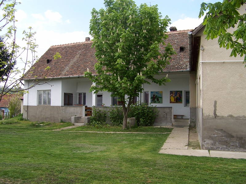 156.jpg