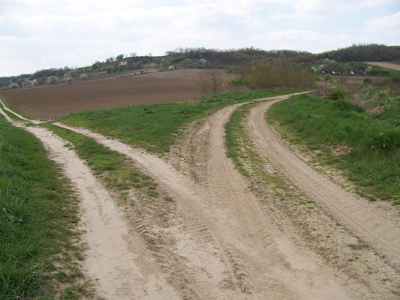 159.jpg