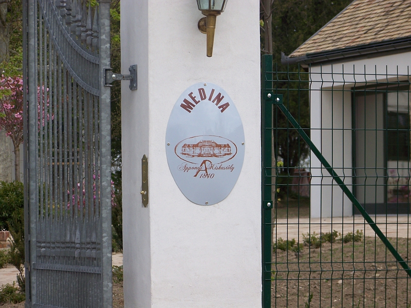 164.jpg
