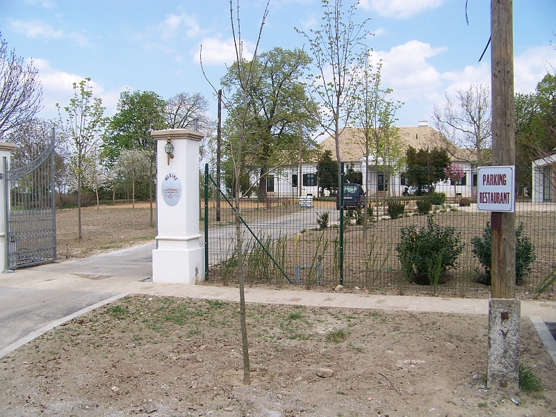 167.jpg