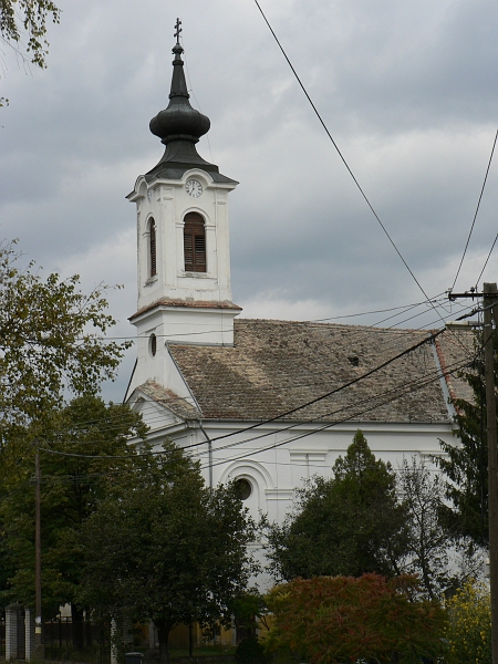 219.jpg