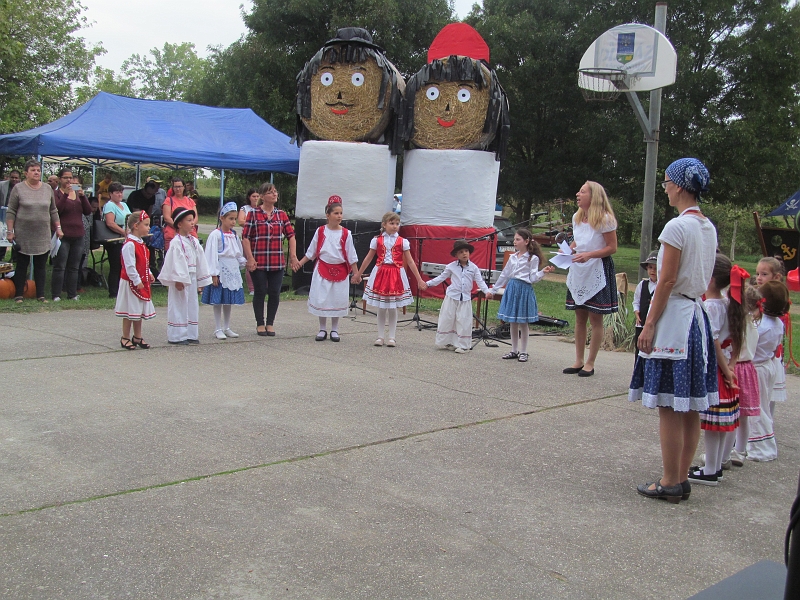 IMG_8217.JPG